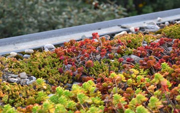 the cost of Llanrhaeadr Ym Mochnant green roof installation