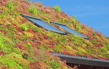 Llanrhaeadr Ym Mochnant living roof systems