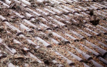 Llanrhaeadr Ym Mochnant roof cleaning companies